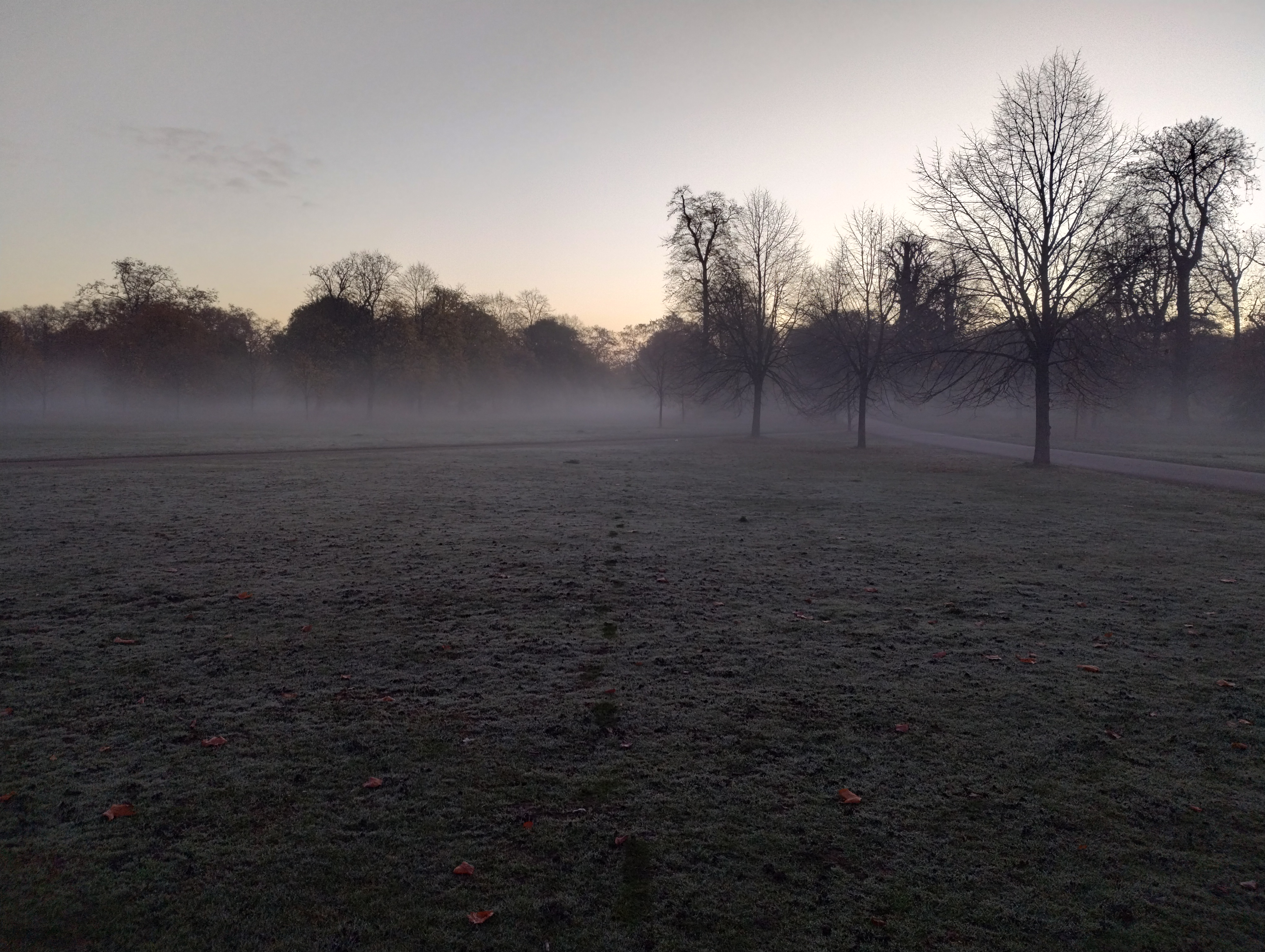 Kensington Gardens field
